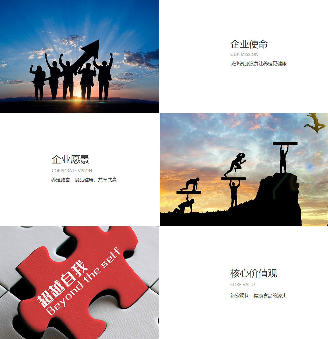 qyg体育官网入口(图1)